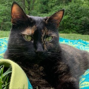 Meet your Posher, Leah